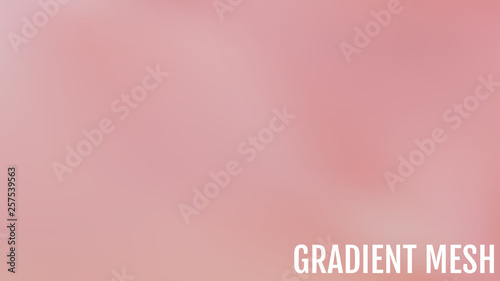 Abstract blurred gradient mesh background. Design concepts for wallpapers, web, presentations, prints, app, user interface and other.