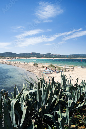 View of beach, Isola dei Gabbiani, Poro Pollo, Sardinia, Italy photo