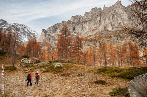 Two boys with backpack hiking along a trail surrounded by trees in fall colors with Helsenhorn massif in background in Devero Nationl Park, Ossola, Italy. photo