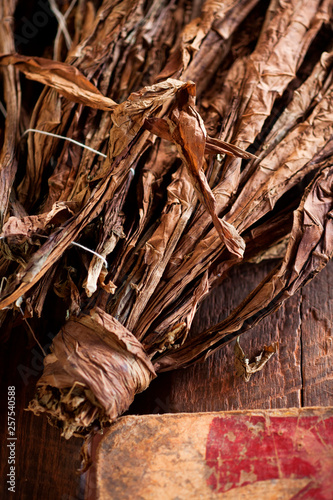 Wallpaper Mural Dried tobacco sit on a table, waiting to be rolled into cigars. Torontodigital.ca