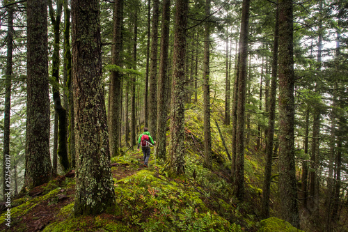 RUCKEL RIDGE, OREGON. A man hiking alone in the woods walks down a mossy ridge on a foggy, misty afternoon.
