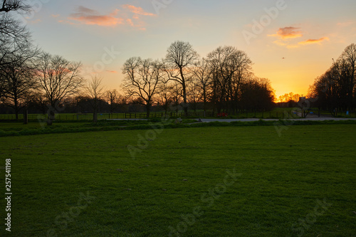 Soon gardens towards Kew