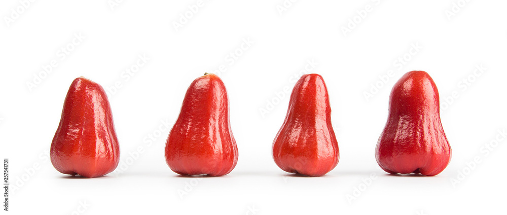 Fresh wax apple isolated on white background Fresh wax apple isolated on white background
