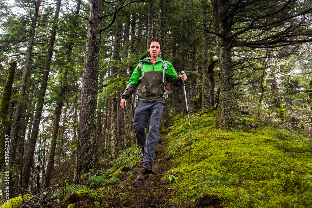 RUCKEL RIDGE, OREGON. A man hiking alone in the woods walks down a mossy ridge on a foggy, misty afternoon. RUCKEL RIDGE, OREGON. A man hiking alone in the woods walks down a mossy ridge on a foggy, misty afternoon.