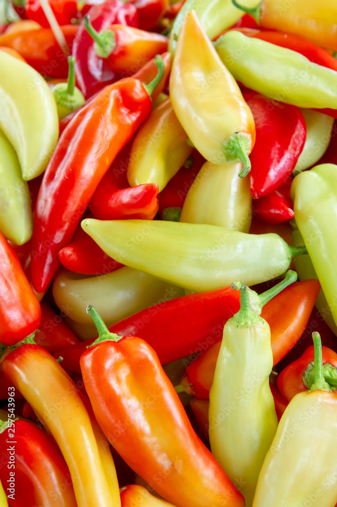 Whole fresh yellow and red peppers background in the market Whole fresh yellow and red peppers background in the market