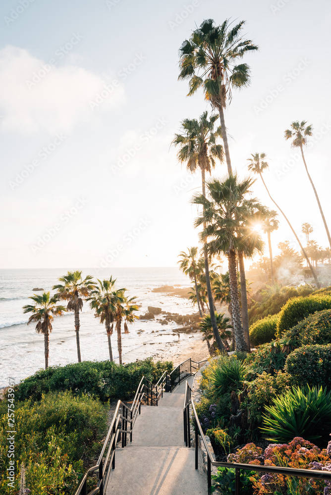 Staircase and palm trees at Heisler Park, in Laguna Beach, Orange County, California