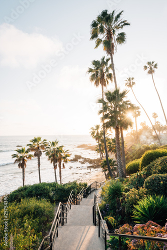Obraz na płótnie Staircase and palm trees at Heisler Park, in Laguna Beach, Orange County, California w salonie