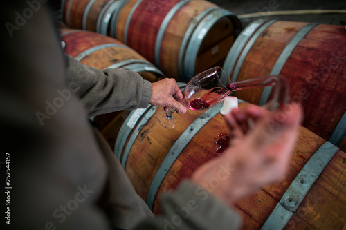 Winemakers working in Carruth Winery in San Diego, CA. photo