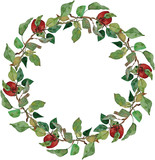 wreath  apples leaves branches ornament   isolated