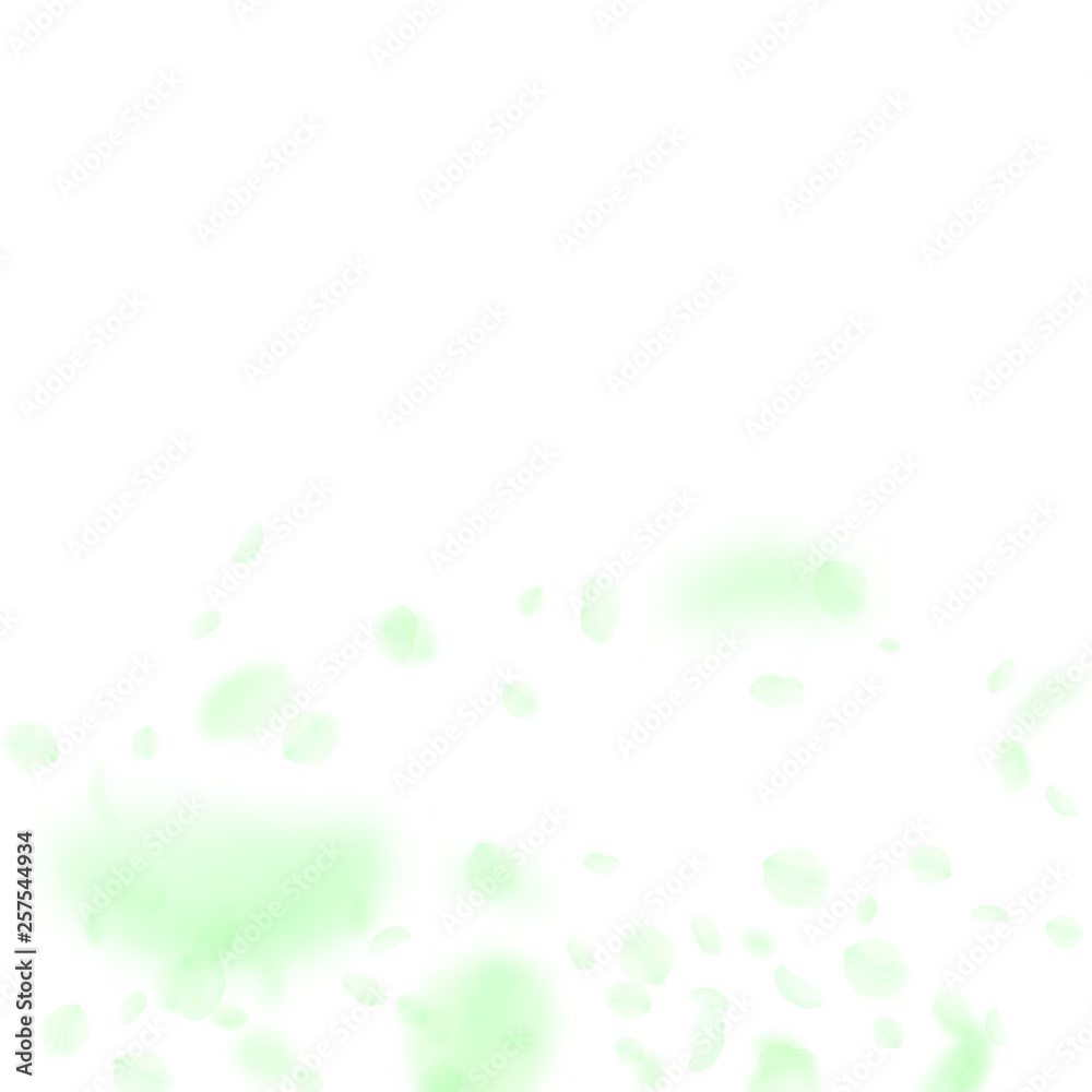 Green flower petals falling down. Appealing romant Green flower petals falling down. Appealing romant