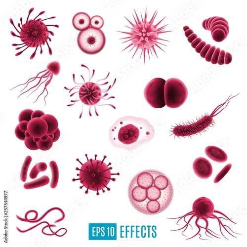 Isolated icons germs, viruses and bacteria cells photo