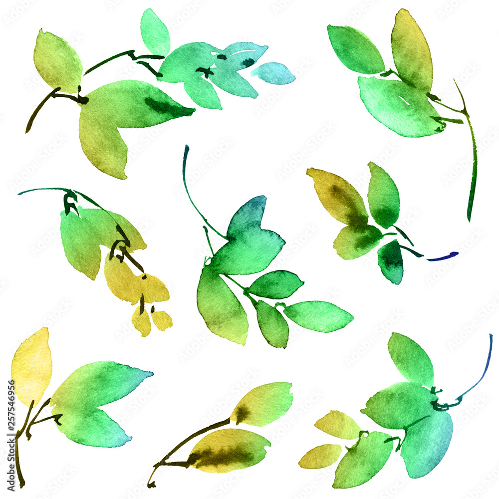 Watercolor tree leaves Watercolor tree leaves