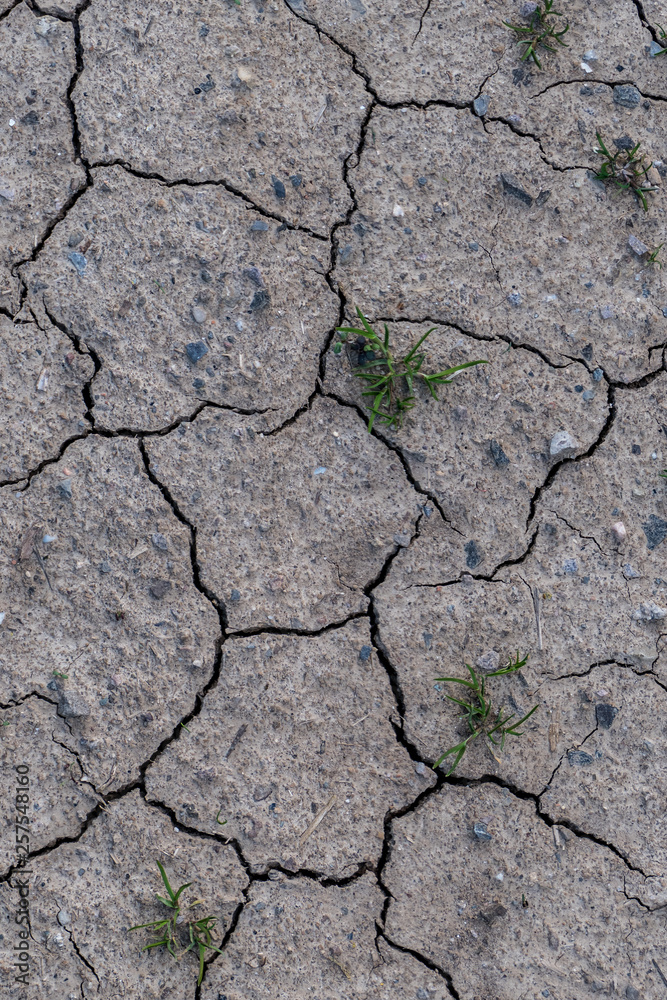 Fototapeta premium Rissiger Ackerboden durch Trockenheit