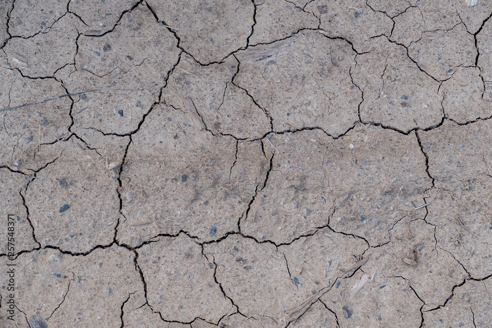 Fototapeta premium Rissiger Ackerboden durch Trockenheit