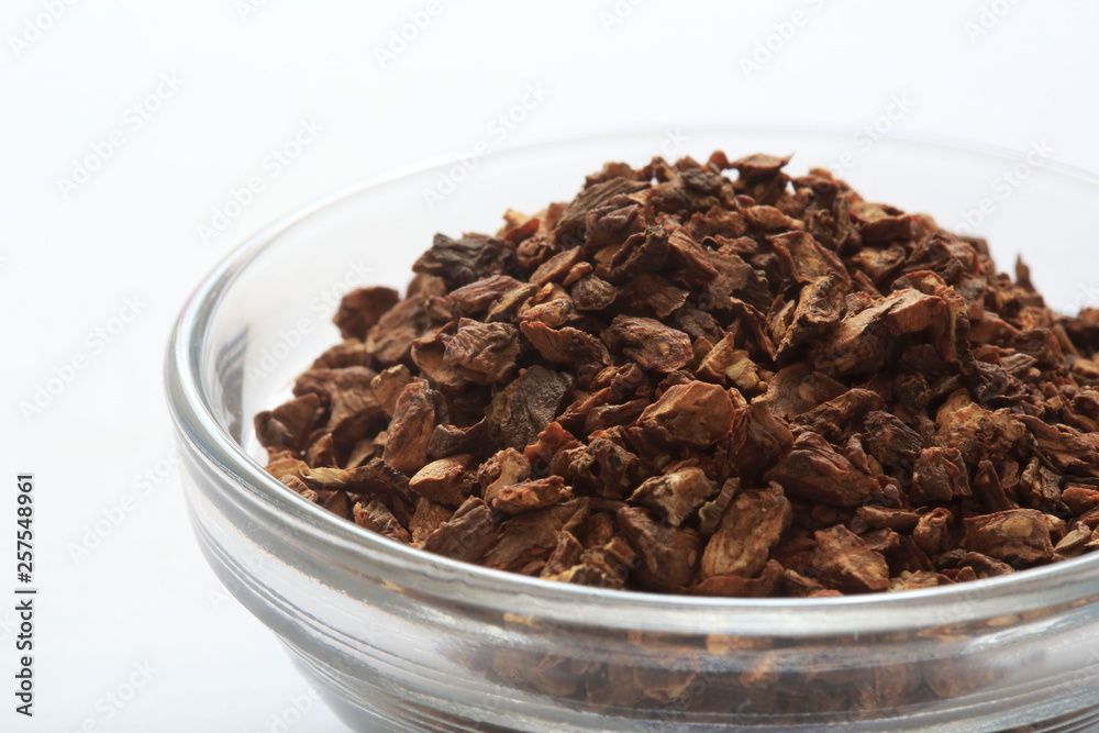 Obraz premium Dundee Lion Root image (herb)