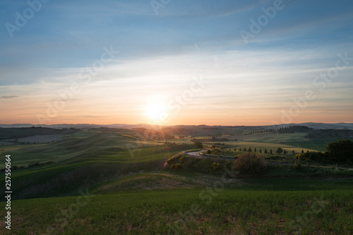 Fototapeta Naklejka Na Ścianę i Meble -  Val d'Orcia (or Valdorcia) landscape in Tuscany at sunset, a very popular travel destination in Italy