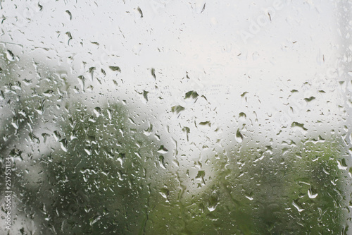 rain drop on glass with blur tree background