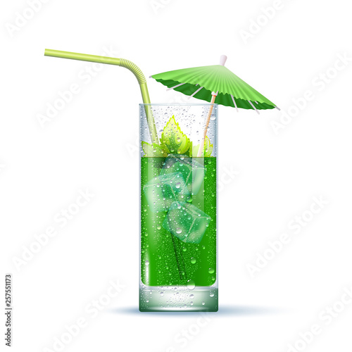 Mojito Cocktail Illustration
