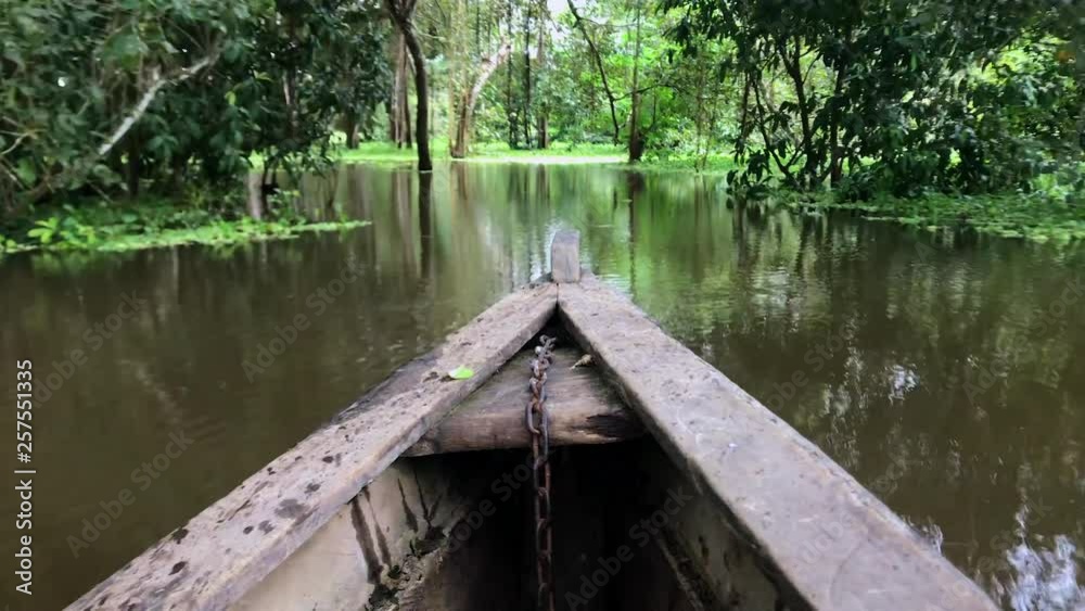 A boat ride through Amazon river, passing green leaves at surface and trees A boat ride through Amazon river, passing green leaves at surface and trees