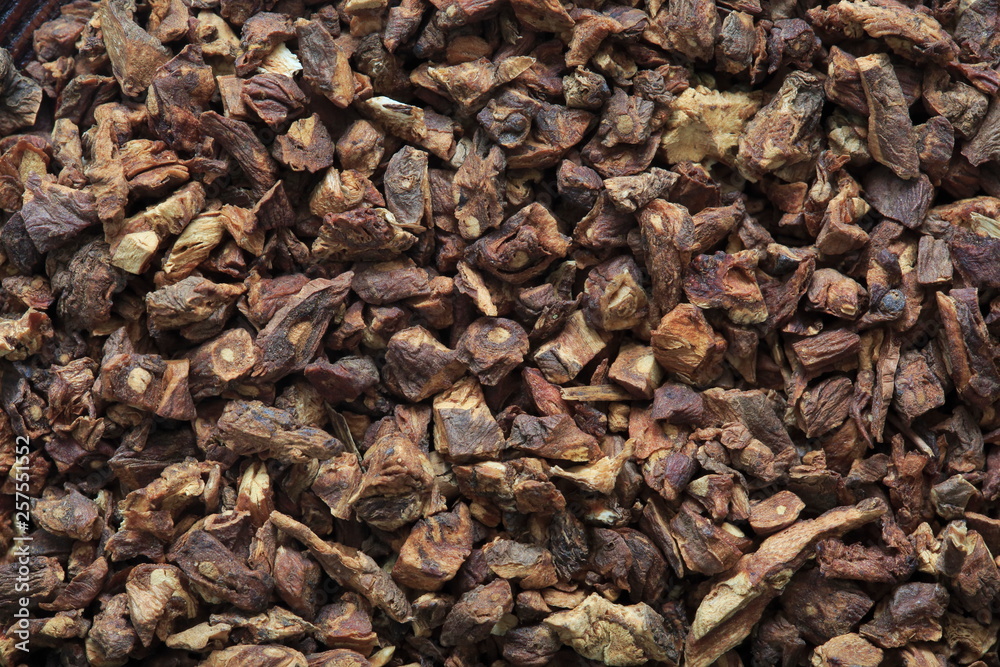 Dundee Lion Root image (herb) Dundee Lion Root image (herb)