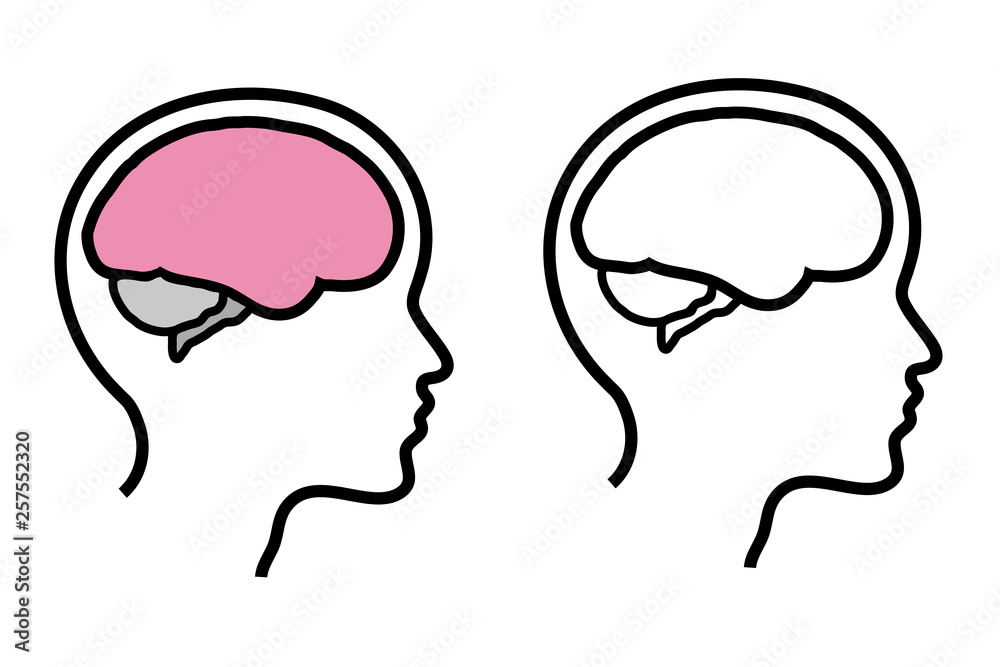 Head and brain on a white background. Vector illustration. 
