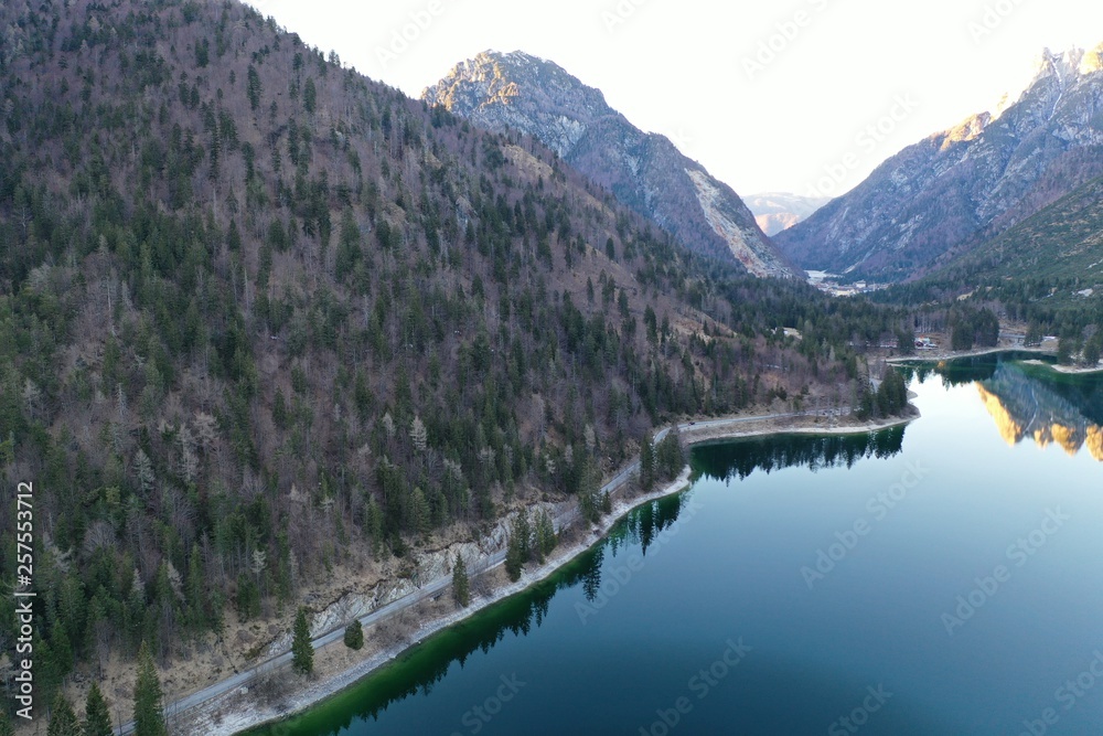 mountain lake  with fir trees from drone