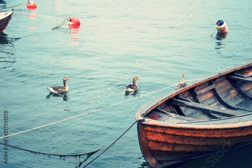 Photography Single row Boat floating in the Water, in Oslo Norway.