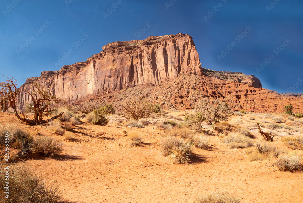 Fototapeta premium Monument Valley famous rock formations under a blue sky.