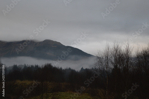 foggy morning in the mountains