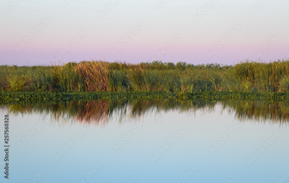 Sunrise over Florida Wetlands