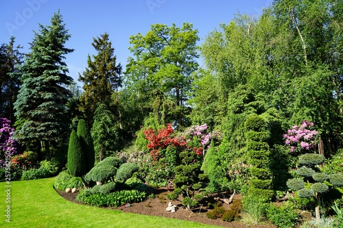 Schöner gepflegter grüner Garten im Sommer