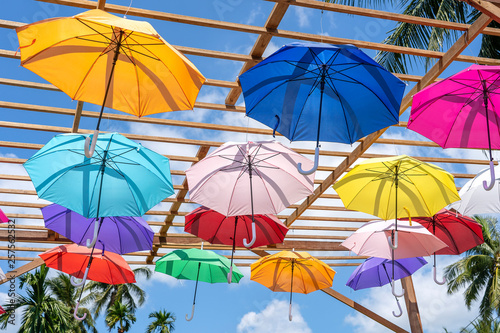 Street decorated with colored umbrellas  island Koh Phangan  Thailand