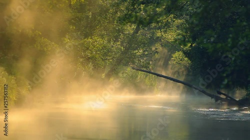Sunrise in the forest near the river on a foggy morning beautiful sunny color pastel colors. Wild nature