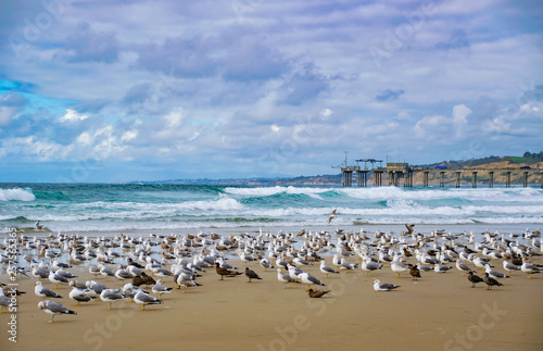 Stormy Seas and Seagulls by the Pier © Gloria Moeller