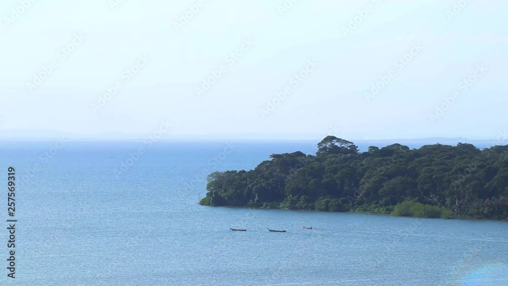 Wide view of fishing boats moving in front of cape in Lake Victoria. Lush forest and open blue water visible in Kalangala, Uganda.
