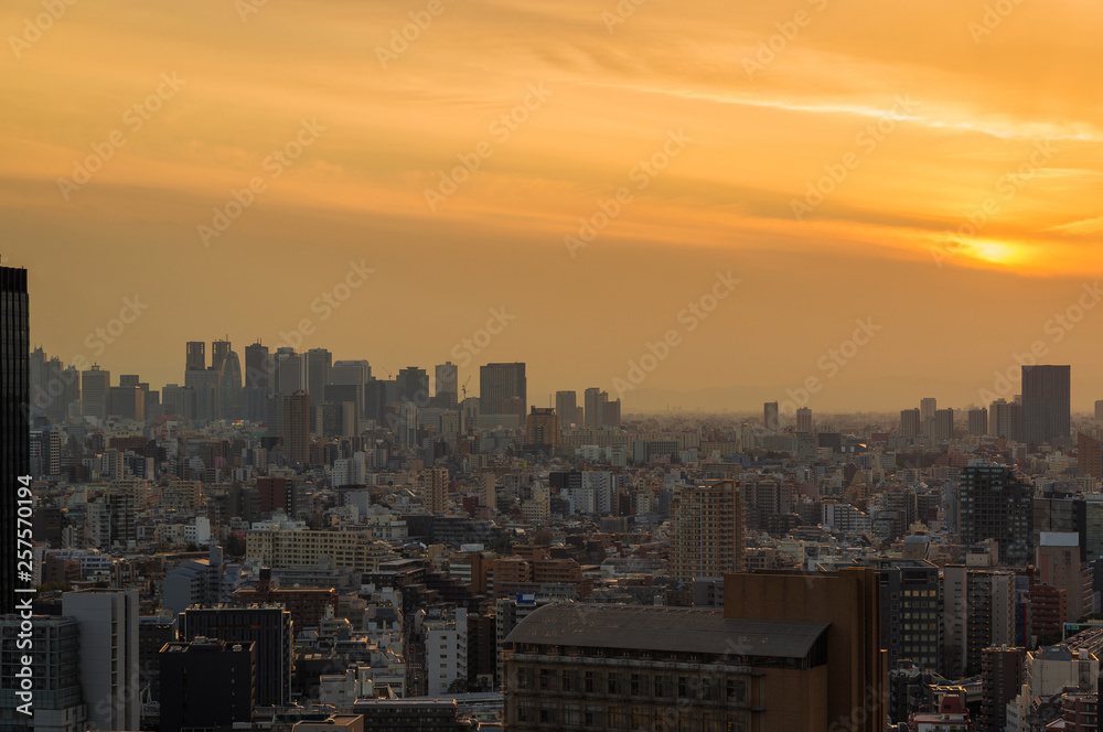 Sunset over Tokyo with Shinjuku modern skyscrapers wrappend in evening mist