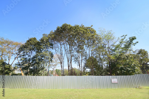 Green trees behind steel fence of construction site, ecology and environment damage concept, green nature destruction, ecology destruction, environment destruction, environment damage, destroy ecology