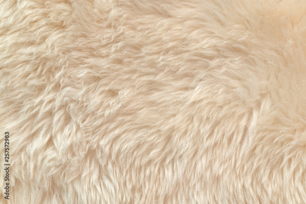 White fur stock image. Image of macro, closeup, softness - 14144497