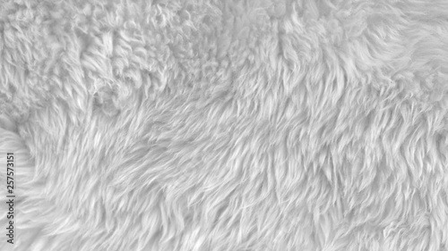 White wool texture background, light natural animal wool, white seamless cotton, texture of fluffy fur for designers, close-up fragment white wool carpet
