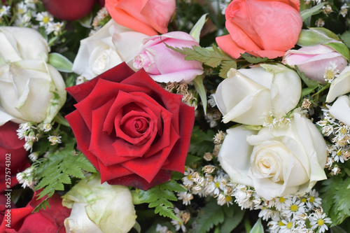 Red rose flower in bouquet