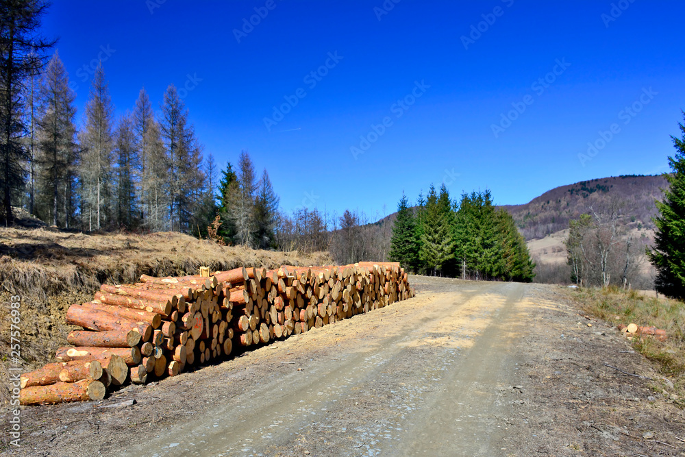 Woodpile arranged in stack by the forest road