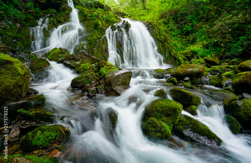 Fototapeta Naklejka Na Ścianę i Meble -  多様な滝の国  日本