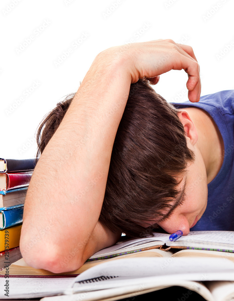 Naklejka premium Student sleep on the Books