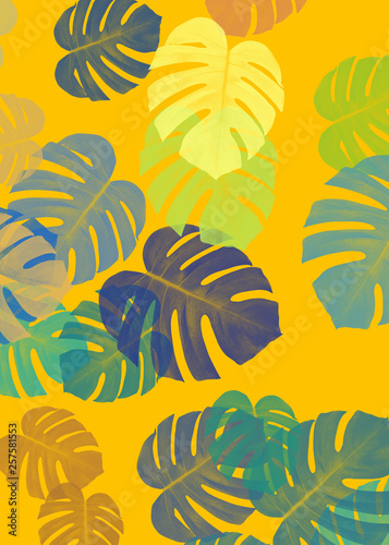 monstera color abstract fabric background 