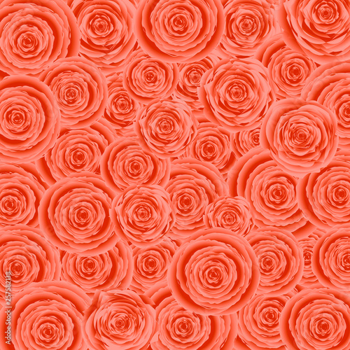 Flower background. Background of many roses. Vector
