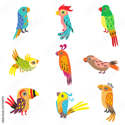Collection of Cute Colorful Tropical Parrots Vector Illustration