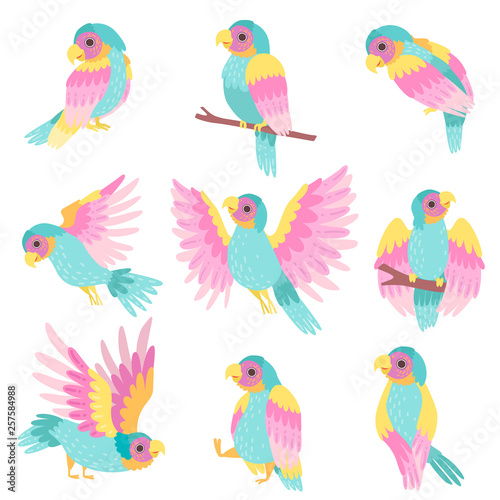 Collection of Tropical Parrots in Different Poses Vector Illustration