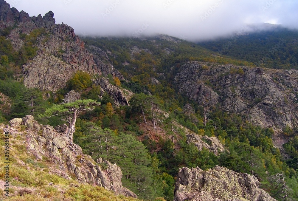 Fototapeta premium Wooded mountains of Corsica in the autumn