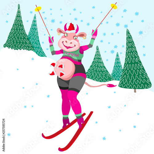 Crazy Cow champion. Humorous winter vacation holidays tee shirt print with blue snowflakes. Cartoon cow goes skiing slalom between fir trees from the mountain. Book cover, post card, party invitation