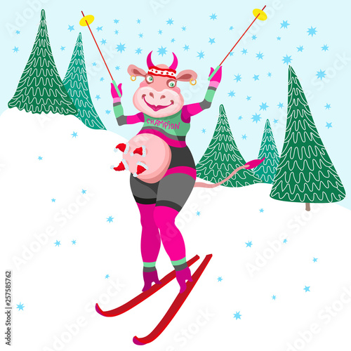 Crazy Cow champion. Humorous winter vacation holidays tee shirt print with blue snowflakes. Cartoon cow goes skiing slalom between fir trees from the mountain. Book cover, post card, party invitation
